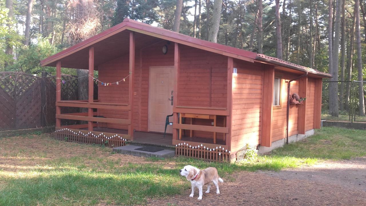 Ow Gabi Villa Międzywodzie Exteriör bild